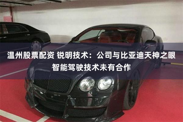 温州股票配资 锐明技术：公司与比亚迪天神之眼智能驾驶技术未有合作