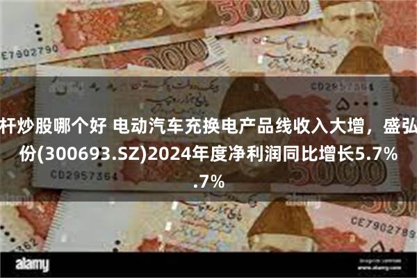 杠杆炒股哪个好 电动汽车充换电产品线收入大增，盛弘股份(300693.SZ)2024年度净利润同比增长5.7%