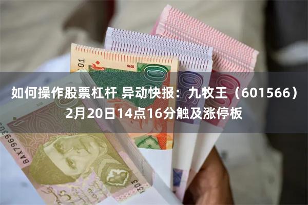 如何操作股票杠杆 异动快报：九牧王（601566）2月20日14点16分触及涨停板