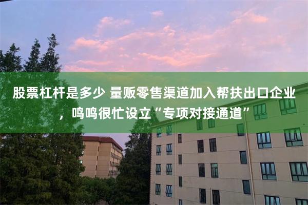 股票杠杆是多少 量贩零售渠道加入帮扶出口企业，鸣鸣很忙设立“专项对接通道”