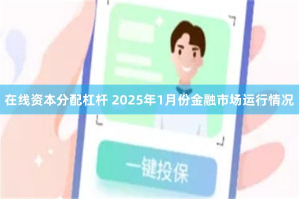 在线资本分配杠杆 2025年1月份金融市场运行情况