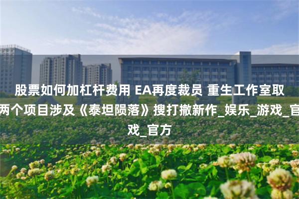 股票如何加杠杆费用 EA再度裁员 重生工作室取消两个项目涉及《泰坦陨落》搜打撤新作_娱乐_游戏_官方