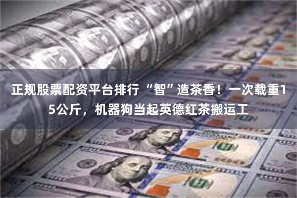 正规股票配资平台排行 “智”造茶香！一次载重15公斤，机器狗当起英德红茶搬运工