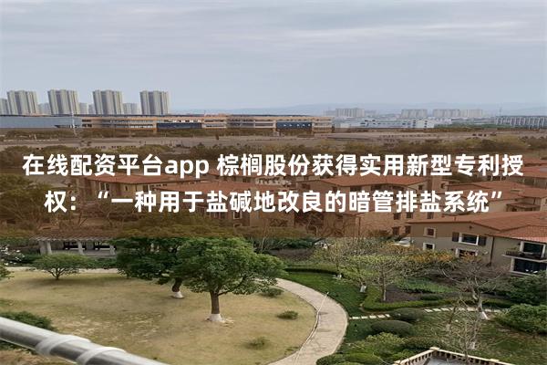 在线配资平台app 棕榈股份获得实用新型专利授权：“一种用于盐碱地改良的暗管排盐系统”