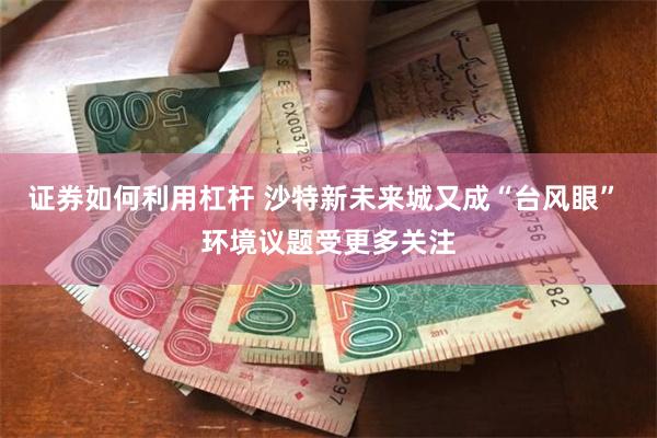 证券如何利用杠杆 沙特新未来城又成“台风眼” 环境议题受更多关注