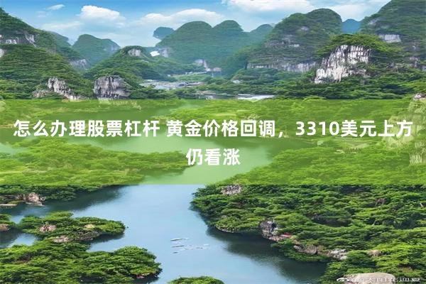 怎么办理股票杠杆 黄金价格回调，3310美元上方仍看涨