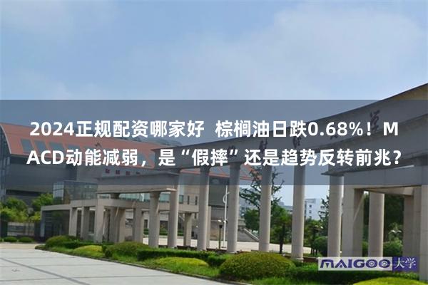 2024正规配资哪家好  棕榈油日跌0.68%！MACD动能减弱，是“假摔”还是趋势反转前兆？
