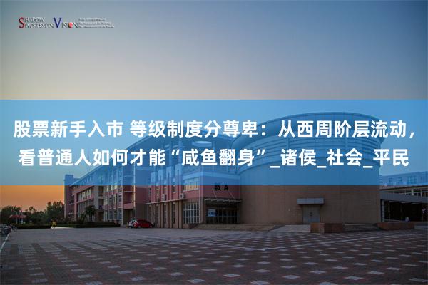 股票新手入市 等级制度分尊卑：从西周阶层流动，看普通人如何才能“咸鱼翻身”_诸侯_社会_平民