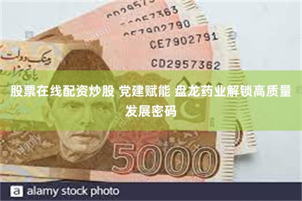 股票在线配资炒股 党建赋能 盘龙药业解锁高质量发展密码