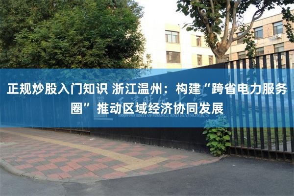 正规炒股入门知识 浙江温州：构建“跨省电力服务圈” 推动区域经济协同发展