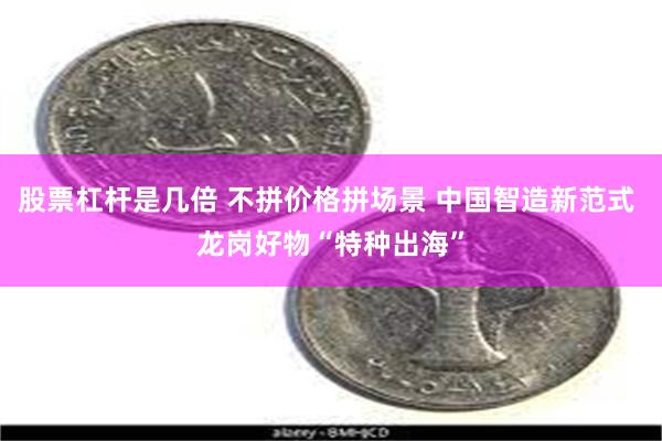 股票杠杆是几倍 不拼价格拼场景 中国智造新范式 龙岗好物“特种出海”
