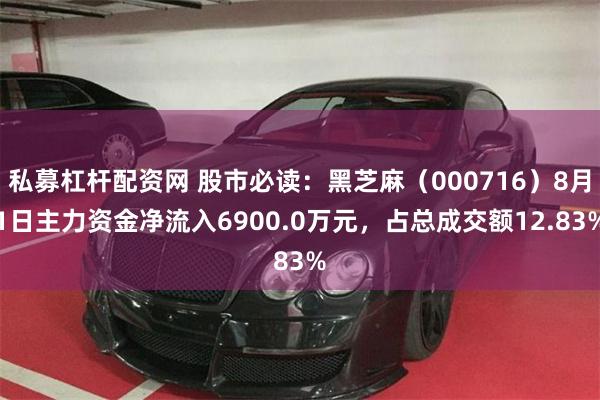 私募杠杆配资网 股市必读：黑芝麻（000716）8月1日主力资金净流入6900.0万元，占总成交额12.83%