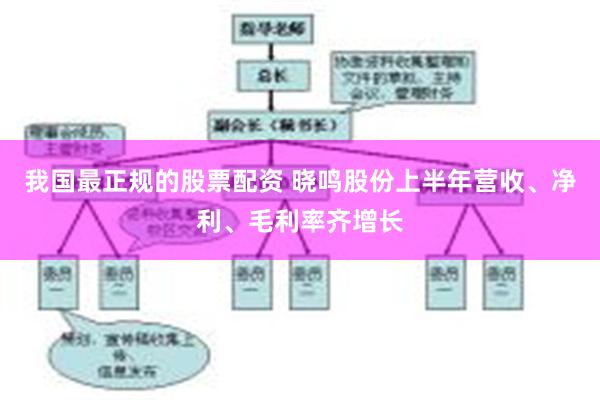 我国最正规的股票配资 晓鸣股份上半年营收、净利、毛利率齐增长