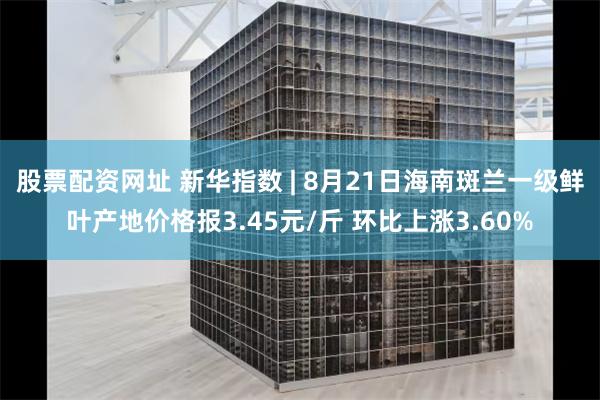 股票配资网址 新华指数 | 8月21日海南斑兰一级鲜叶产地价格报3.45元/斤 环比上涨3.60%